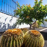 Alizuth * Puerto del Carmen (Lanzarote)