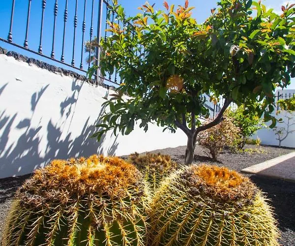 Alizuth * Puerto del Carmen (Lanzarote)