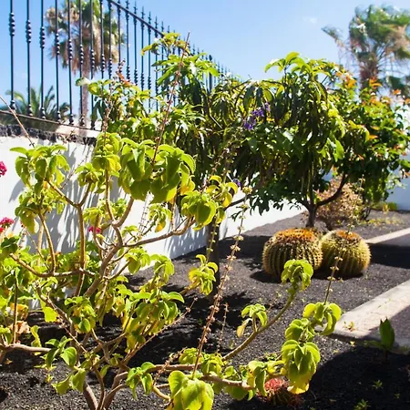 Alizuth Πουέρτο Ντελ Κάρμεν