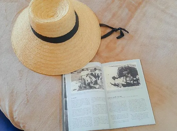 Alizuth Puerto del Carmen