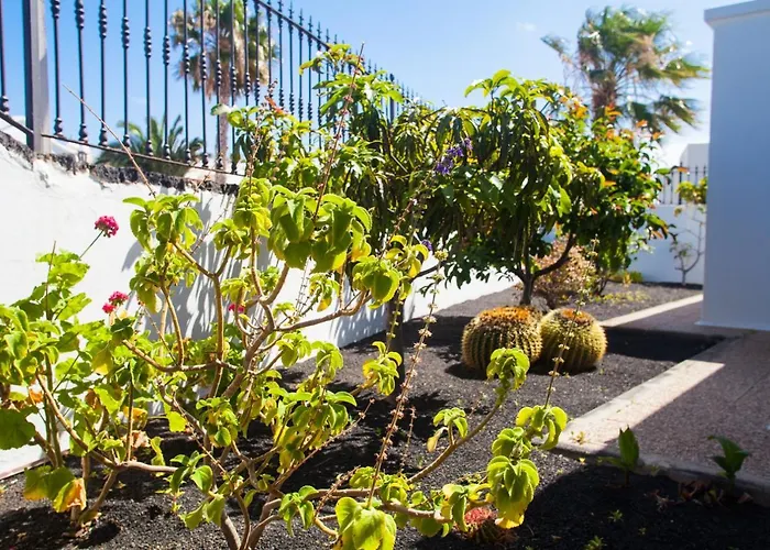 Alizuth Πουέρτο Ντελ Κάρμεν